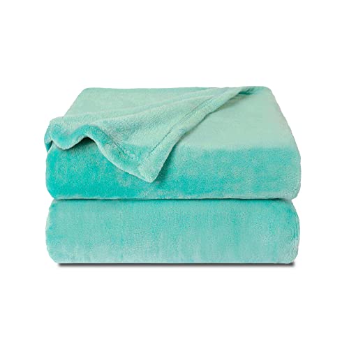 Image of NANPIPER Fleece Blankets, Super Soft Flannel Fuzzy Blanket for Couch, Luxury Cozy Lightweight Microfiber Dog Blanket-Throw Size,Lake Blue