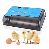 Incubadoras de 12 Huevos Automáticas, Incubadoras Huevos Automatica con Iluminación LED, Pantalla Digital y Control de Eficiente Iinteligente
