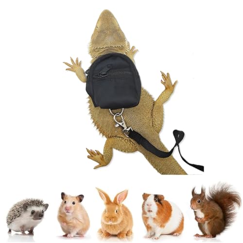 Image of Bearded Dragons Harness Leashes Set Cute Backpack Back to School Design for Small Pets Reptile Lizard Crested Gecko Chameleon Rat Hamster Squrriel Ferret Photo Shoot (Black)
