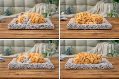 Image of Sleeping cat