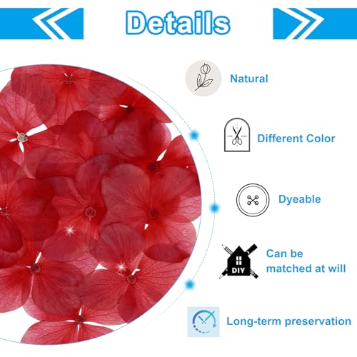 Flores prensadas secas rojas, 48 unidades para manualidades miniatura 3