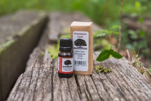 Aceite Esencial Puro de Hoja de Canela miniatura 2