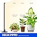 Barrina Standing Grow Light for Indoor Plants, 20W 2FT Desk LED Plant Light, Hanging and Standing, Table Top Full Spectrum Vertical Grow Lights with Stand and On/Off Switch, Ideal for Plants Growth