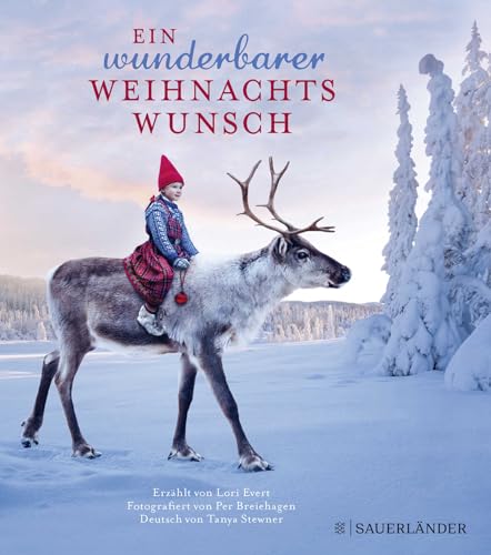 Preisvergleich Produktbild Ein wunderbarer Weihnachtswunsch Mini