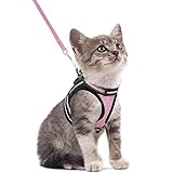 Taglia Accurata per Gatti Extra Piccoli: (S: Circonferenza del collo: 16.7-21.6cm, circonferenza del torace: 22.9-30.4cm). Misura accuratamete il tuo gatto e fai riferimento alla guida alle taglie prima dell'acquisto. Sentiti libero di farci sapere se hai bisogno di aiuto per trovare la taglia giusta. Il pacchetto include: 1 * pettorina per gatto e 1 * guinzaglio in nylon (150 cm)