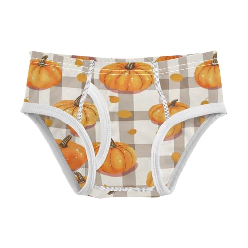 Wusikd Pumpkins Boys' Underwear Cotton Colorful Gingham Boys Briefs Soft Toddler Underwear 2T