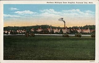 Northern Michigan State Hospital Traverse City MI Original Antique Postcard