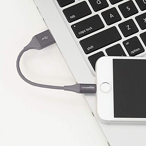 Image of AmazonBasics Apple Certified Lightning to USB Charge and Sync Tough Cable, 0.33 Feet (10 Centimeters) - 2-Pack - Gray (Ideal for Power Banks)