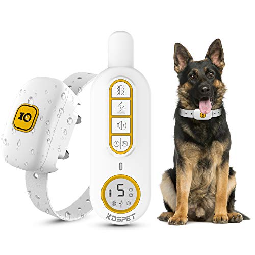 10 Best Shock Collar For Golden Retriever In 2021