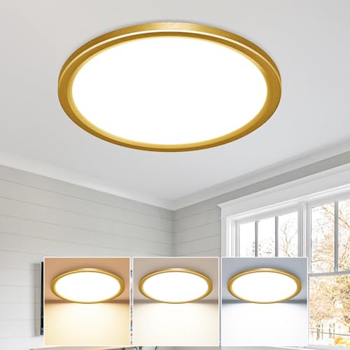 slochi Plafon LED Techo,18W 2100LM Bajo Consumo lampara techo,3000K/4000K/6500K regulableØIP44 Impermeable Ultra Delgado Plafones Para Techo Led,Adecuado para Baño Dormitorio Pasillo-Dorado