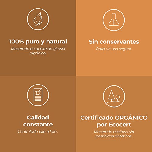 Aceite de borraja soluciona el desgaste articular de forma vegetal 4