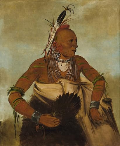 Tableaux Murale Art George Catlin poster animaux 60x90cm
