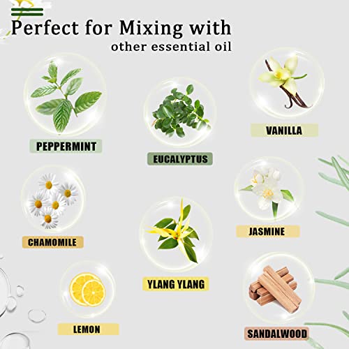 Euqee Rosemary Essential Oil 118Ml Pure & Natural Rosemary Oil With Glass Dropper For Skin, Aromatherapy, Diffuser, Soap & Candle Making - 4Fl.oz #TOP3