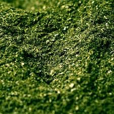 Concentrates Inc Organic Alfalfa Meal Fertilizer 2.5-0-2.5, 5 lb