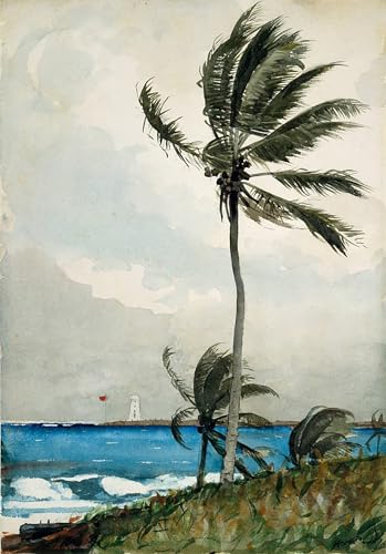 Affiche toile Palmier Nassau Winslow Homer pour remplacer un mur blanc par un art portrait