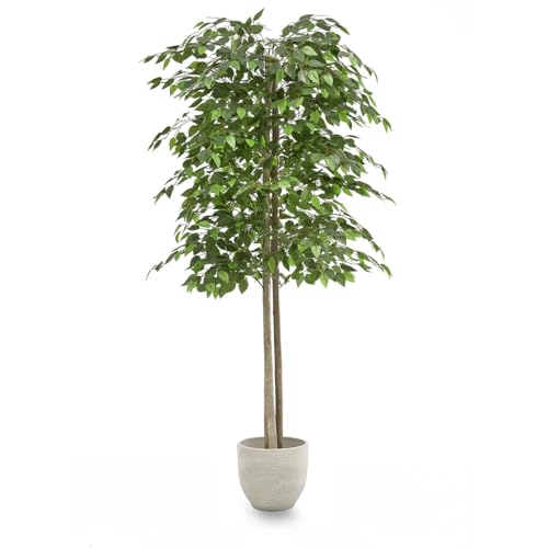 Maia Shop | Ficus Artificiel | Plantes Artificielles Interieur | Plante Artificielle | Mesures: 180 x 70 cm | Plante Artificielle Grande | Arbre Artificiel | Décoration