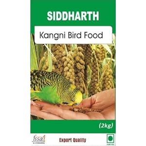 GO7 Bird Food for Kangni Bird Parrot Treat Types of Ingredients Fruitoze Fruit Sticks for Finch, Lovebird, Budgerigar, Cockatiel, Monk and Other Small Size Birds (1 kG)