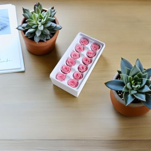 Cabezas de rosas preservadas de 3-4 cm para manualidades de flor inmortal 6