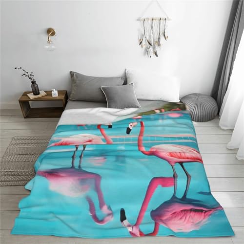 Couverture polaire légère de flanelle pour cocooning sur canapé et lit