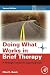 Doing What Works in Brief Therapy: A Strategic Solution Focused Approach (Practical Resources for the Mental Health Professional)