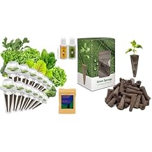 inbloom Salad Green Seed Pod Kit 12-Pods and 50 Pcs Grow Sponge for Replacement
