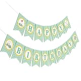 Neyeidru Golf Happy Birthday Banner - Pre-Strung 1st Year Hole In One Party Decorations