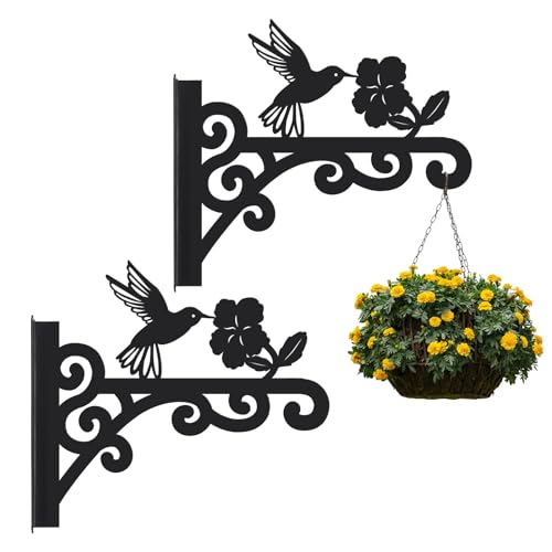KOYILTD Hummingbird Plant Hangers Indoor and Outdoor Decorative Wall Plant Hooks Black Metal Hooks for Hanging Flower Basket Pot, Bird Feeder, Lantern, Wind Chime (Upward, 2)