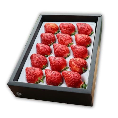 エースいちご [1月中旬以降順次発送]築上町産 あまおう 月 1箱 15粒