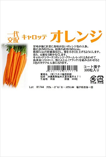 t^oc yzz Lbe IW (ɂ񂶂) R[gq300