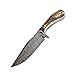 BucknBear Custom Handmade Damascus Fixed Blade Stag Hunting Knife (Stag Handle)
