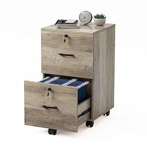 VINGLI 2 Drawer File Cabinet with Lock, Wood Rustic Gray File Cabinet for Letter Size File Folders with Tabs, Under Desk Rolling File Cabinets for Home Office, Mobile Filing Cabinet Printer Stand