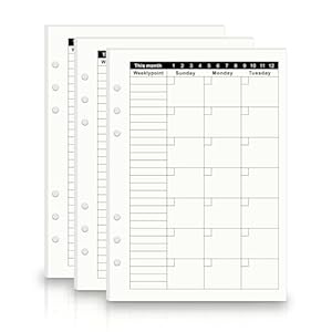 Yanpoake A5 Monatsplan Nachfüll-Inlays 2025