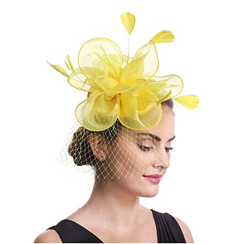 Fascinators Hat Flower Mesh Feathers Headband Clip Tea Party