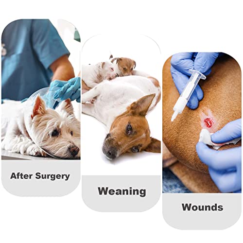 Due Felice Dog Diapers Sanitary Panties Doggy Period Onesie Bodysuits Pet Recovery Suit After Surgery Wear For Male And Female Dogs Gray Stripe/X-Large #TOP5