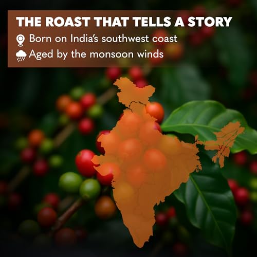 Image of THIRD WAVE COFFEE Arabica Monsoon Malabar Coffee, Medium Roast, Medium Grind for Electric Dripper Brewing, 250g