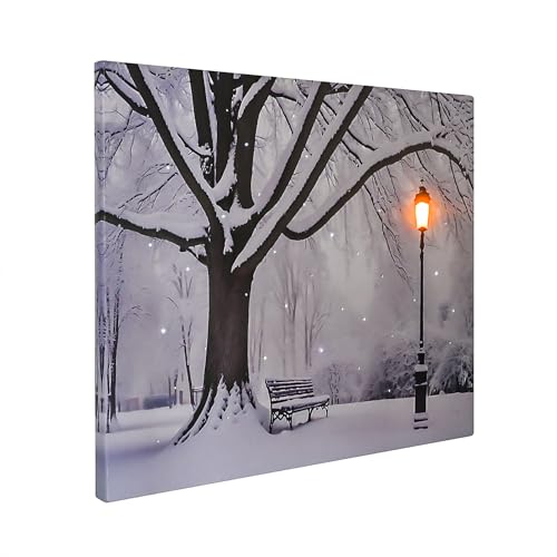 DEMAGNNIE 17"x14" Fiber-optic Christmas Wall Art Canvas Paintings with Timer LED Lights - Lighted Winter Pictures Wall Decor -Wrapped Framed Christmas Pictures - Black White Light Up Winter Artwork