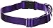PetSafe Martingale Dog Collar with Quick-Snap Buckle - Large, 1 Inch, Deep Purple