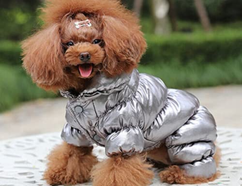 Manteau pour chien gris métallisé en taille L pour grand canidé