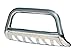Go Rhino! (5523PS Rhino Charger RC2 Series Bull Bar