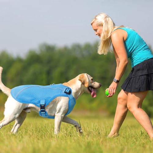 Kuoser Kühlweste für Hunde, atmungsaktiv, kühlender Mantel für Hunde, reflektierendes Hundekühlgeschirr, Blau, Größe L
