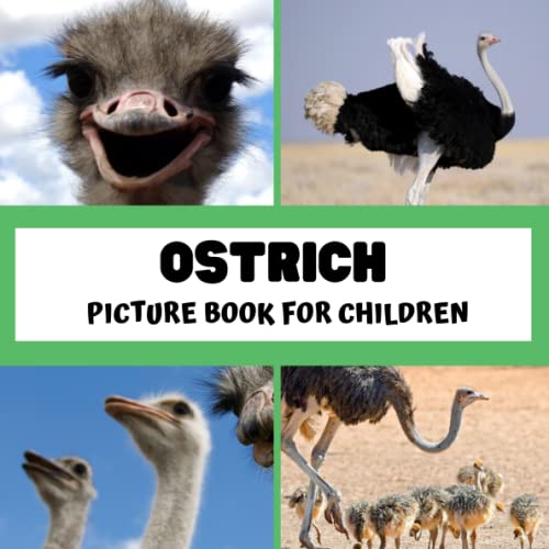 Picture book for children - Ostrich: Discovering ostrichs in pictures - Children 2 to 5 years old
