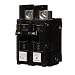 Siemens BQ2B040L 40-Amp Double Pole 120/240-Volt 10KAIC Lug In/Lug Out Breaker