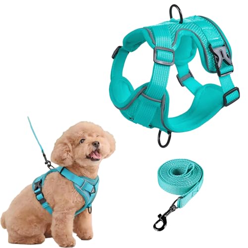 SOLMOONY ^pn[lXA\tgbVqn[lXƃ[VZbgAǓPɓȂLpn[lXA˒߉\ȎqxXg ^^ALp(^[RCYAM)