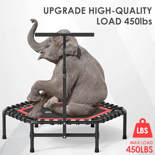 Image of CLORIS 45'' Rebounder Trampoline for Adults - Max Load 450lbs, Trampoline with Adjustable Foam Handle Indoor /Outdoor Fitness Body Exercise