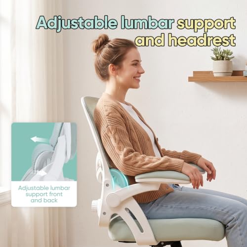 professional ergonomic chair owner review product image