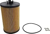 Luber-finer Luberfiner LP2029 Heavy Duty Engine Oil Filter Fits Select Ford 6E7Z-6731-D, Motorcraft