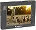 Produktbild Puzzle 1000 Teile Erdmännchen das lustigste Tier. Namibia Wildlife - Klassische Puzzle, 1000 / 200 / 2000 Teile, edle Motiv-Schachtel, Fotopuzzle-Kollektion 'Lustige Tiere'