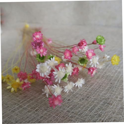 Flores Mini Margarita Secas Amarillas x100 para Decoración miniatura 4