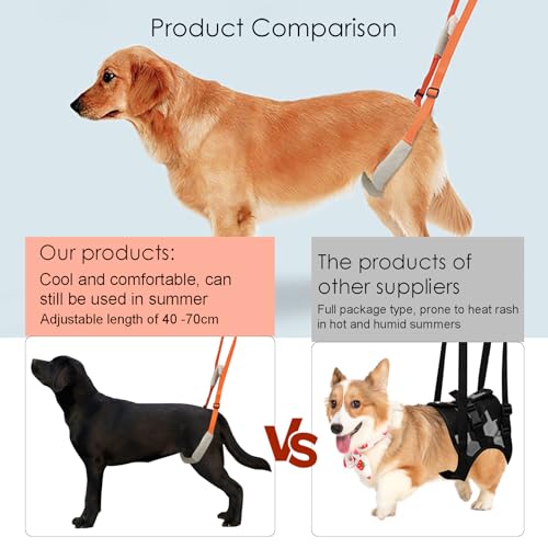 Hundegeschirr Grosse Hunde Gehhilfe mit Sicherheitsgurt - Tragehilfe für Kranke & Altere Hunde