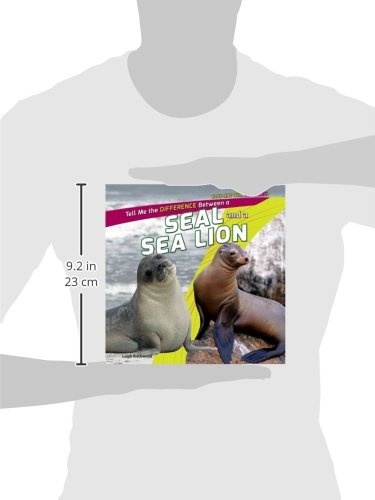 A Seal and a Sea Lion – vue 2